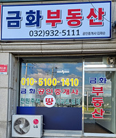 금화부동산사진